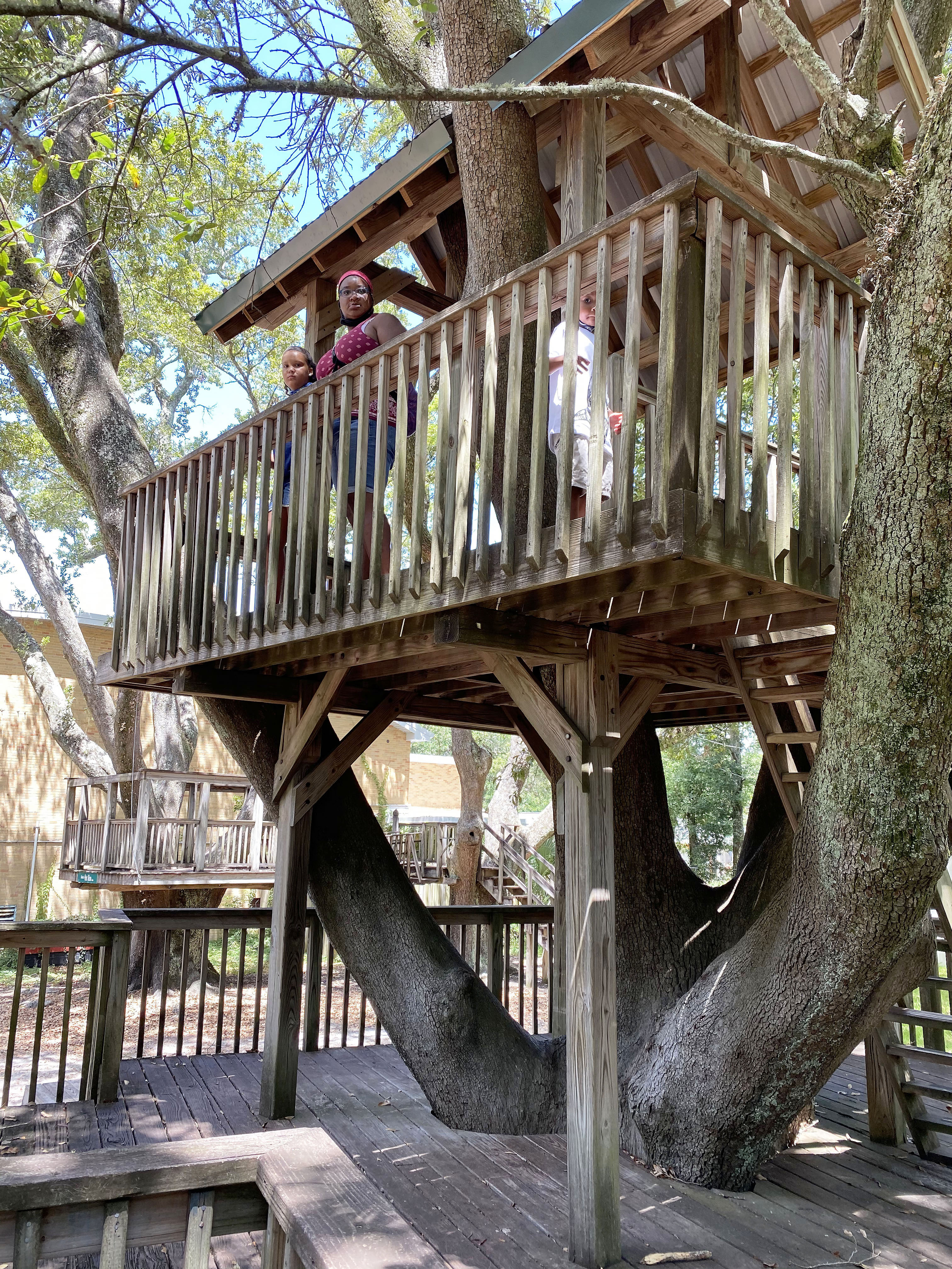 gulport ms childrens museum treehouse jj zee bri